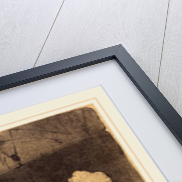 Dress Rehearsal at the Folies-Bergere, 1893 by Henri de Toulouse-Lautrec