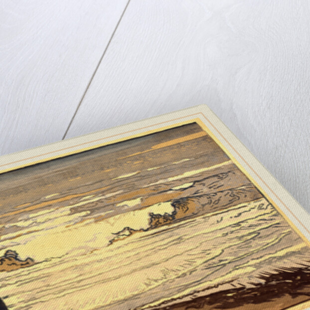 Unfurled Waves, Flood of September 1901, 1901 by Auguste Lepère