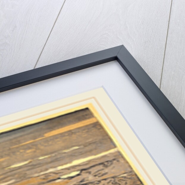 Unfurled Waves, Flood of September 1901, 1901 by Auguste Lepère