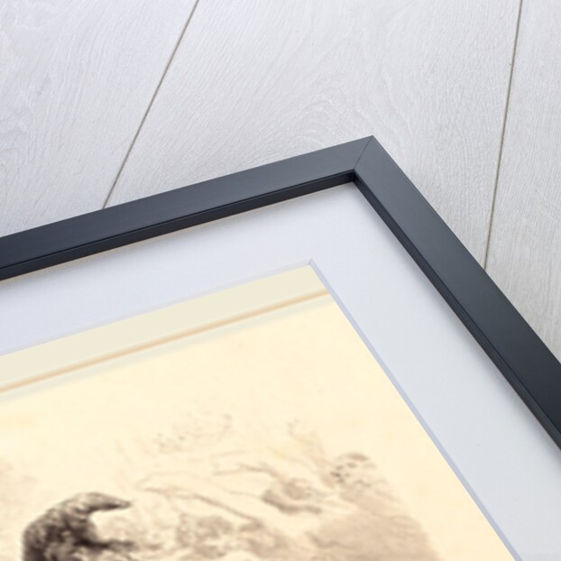 The Woman Behind the Mask, 1830s by Célestin Nanteuil