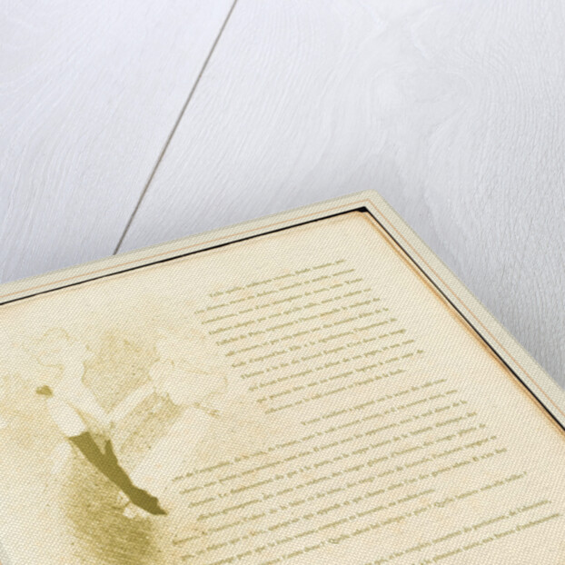 Yvette Guilbert, 1894 by Henri de Toulouse-Lautrec