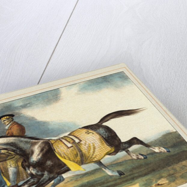 Two Dapple-Gray Horses Exercising, 1822 by Théodore Gericault and Léon Cogniet