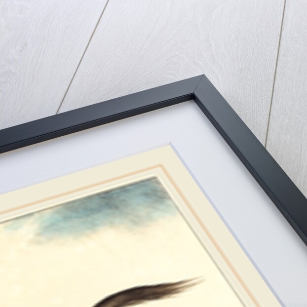 Two Dapple-Gray Horses Exercising, 1822 by Théodore Gericault and Léon Cogniet