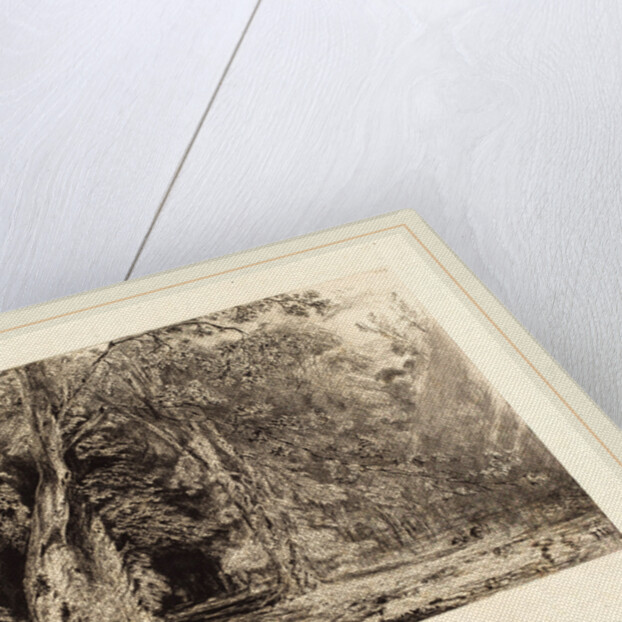 Flooding in the Forest of the Ile Séguin, 1833 by Paul Huet