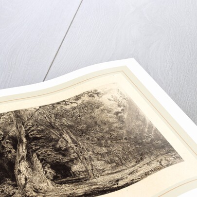 Flooding in the Forest of the Ile Séguin, 1833 by Paul Huet