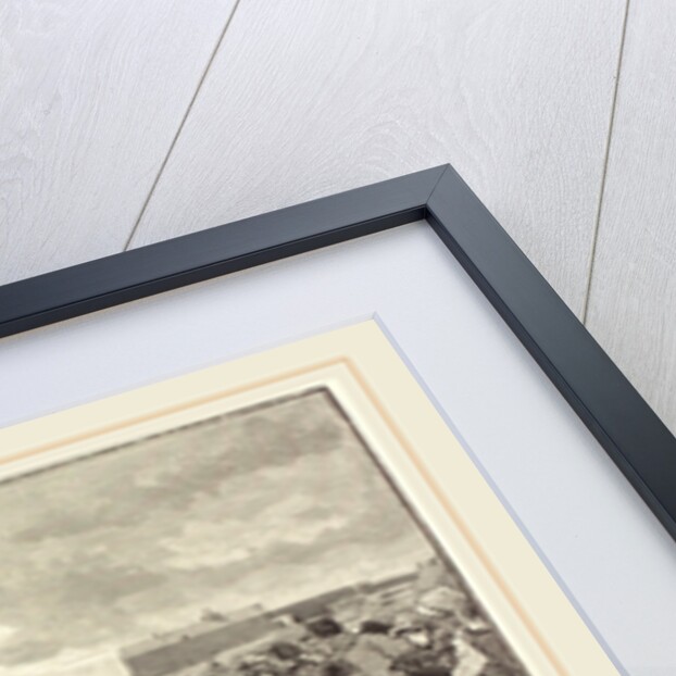 Les Chiens savants, 1883 by Daniel Vierge