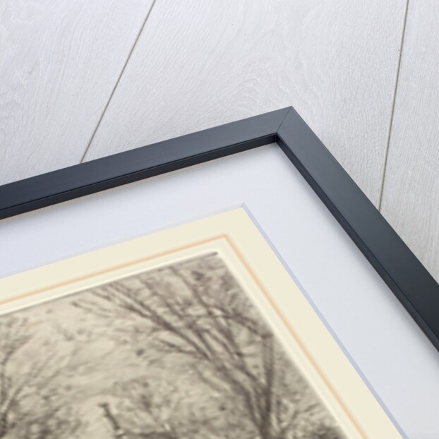 Manifestation populaire du 27 Février pour fêter le 80 année de Victor Hugo, 1881 by Daniel Vierge