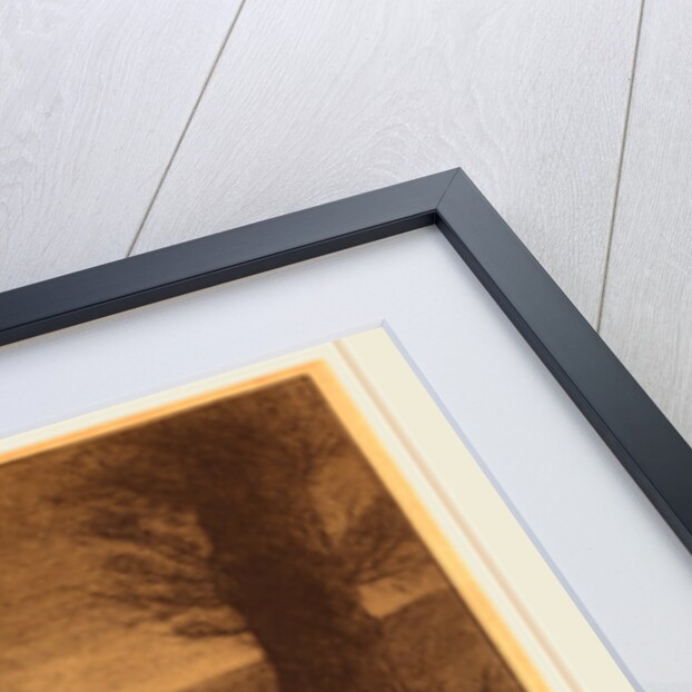 Fisherman with a Hoop-net by Alphonse Legros