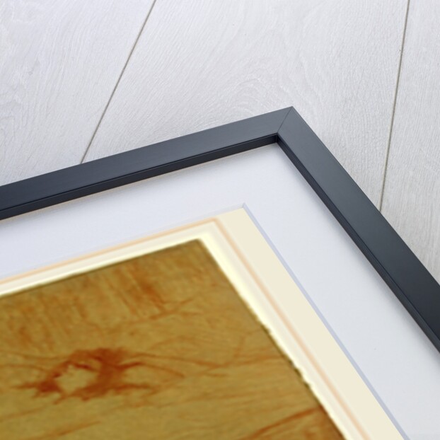 Woman on Her Back, 1896 by Henri de Toulouse-Lautrec