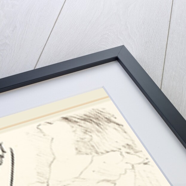 Frontispiece, 1898 by Henri de Toulouse-Lautrec