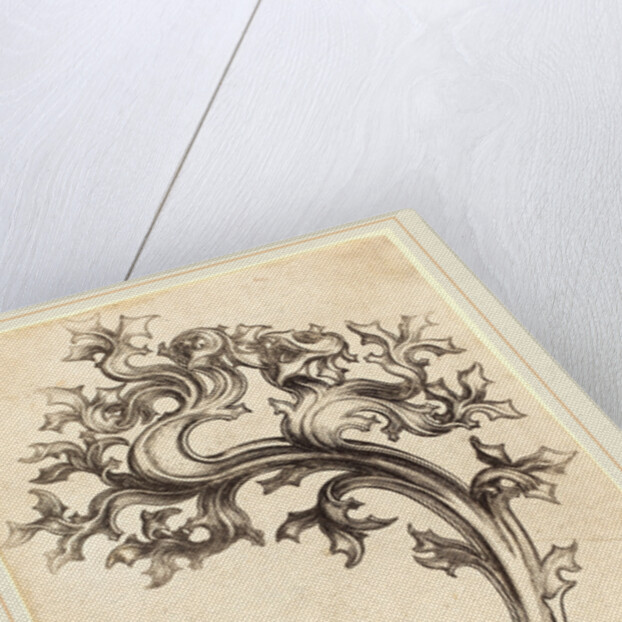 Thistle Ornament by Martin Schongauer