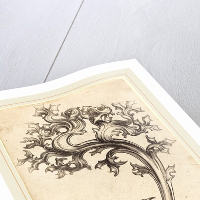 Thistle Ornament by Martin Schongauer