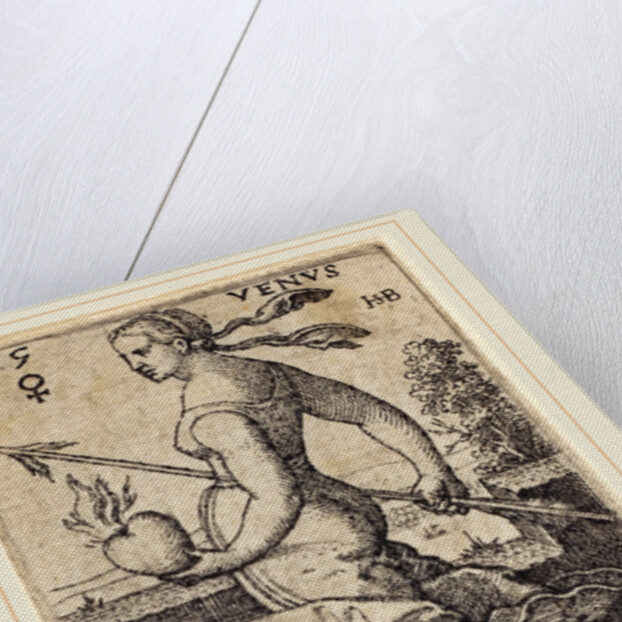 Venus by Sebald Beham