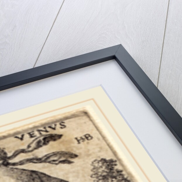 Venus by Sebald Beham