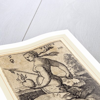 Venus by Sebald Beham