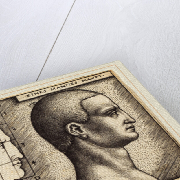 Head of a Man, 1542 by Sebald Beham