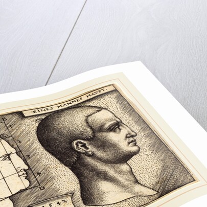 Head of a Man, 1542 by Sebald Beham