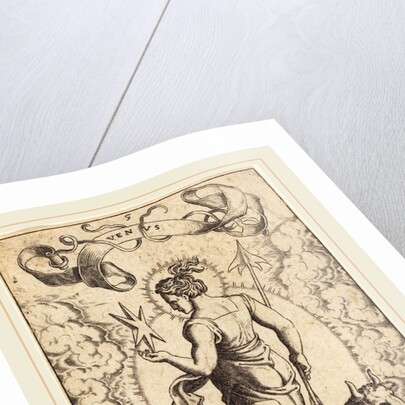 Venus by Sebald Beham