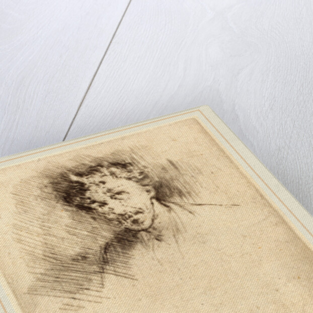 Whistler with the White Lock, 1879 by James McNeill Whistler