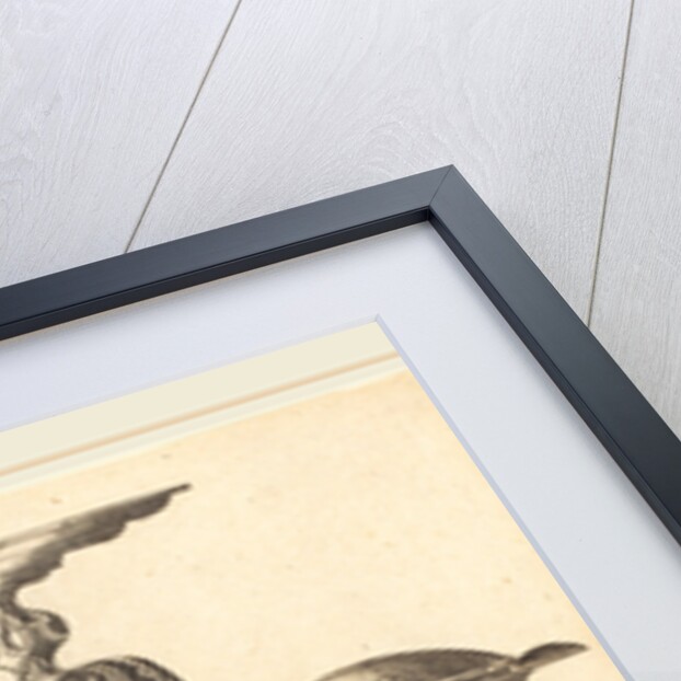 Cup by Wenzel Jamnitzer I