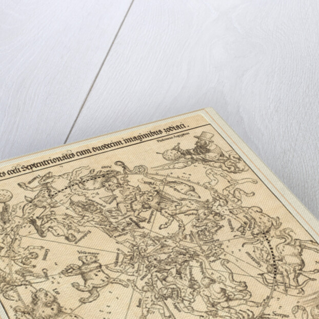 The Northern Celestial Hemisphere, 1515 by Albrecht Dürer