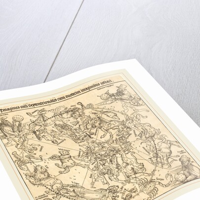 The Northern Celestial Hemisphere, 1515 by Albrecht Dürer