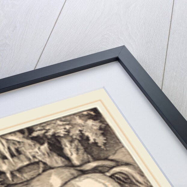 Group of Seven Horses, 1534 by Hans Baldung Grien