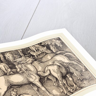 Group of Seven Horses, 1534 by Hans Baldung Grien