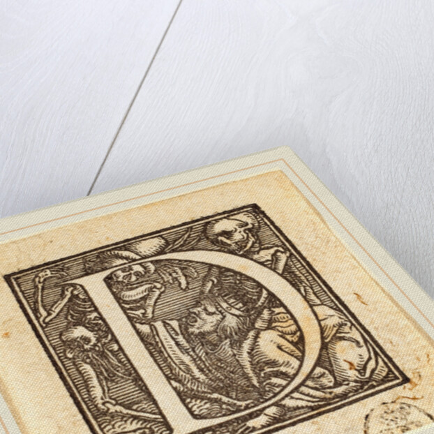 Letter D by Hans Holbein the Younger
