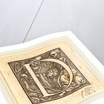 Letter D by Hans Holbein the Younger