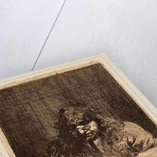 Self-Portrait Drawing, 1675 by Michael Lukas Leopold Willmann