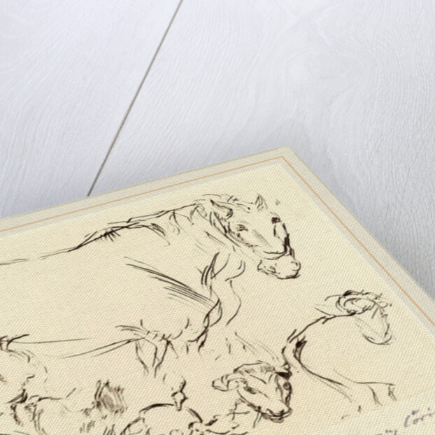 Animal Studies by Lovis Corinth