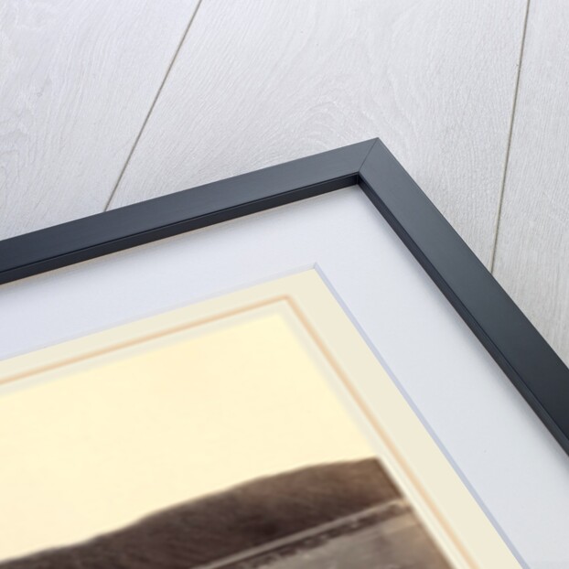 The Arctic Regions: No. 36. The Glacier As Seen Flowing Or Being Forced Down Between The Hills, Ploughing Up A Moraine Of Earth And Rocks, Twenty To Thirty Feet High, 1869 by Dunmore and Critcherson