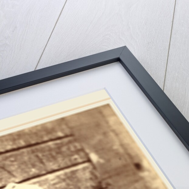 John Dryden, 1856 by Robert Howlett