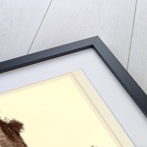 Kalaat-El Hosn, deuxième enceinte, extérieur, midi by Louis De Clercq