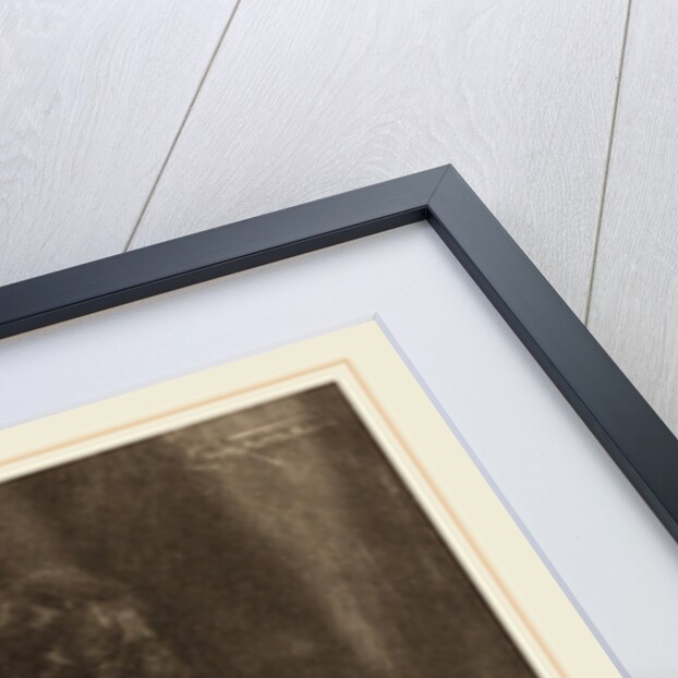 Alfred Stieglitz by Frank Eugene