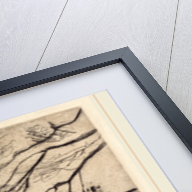 Landscape by Theo von Brockhusen