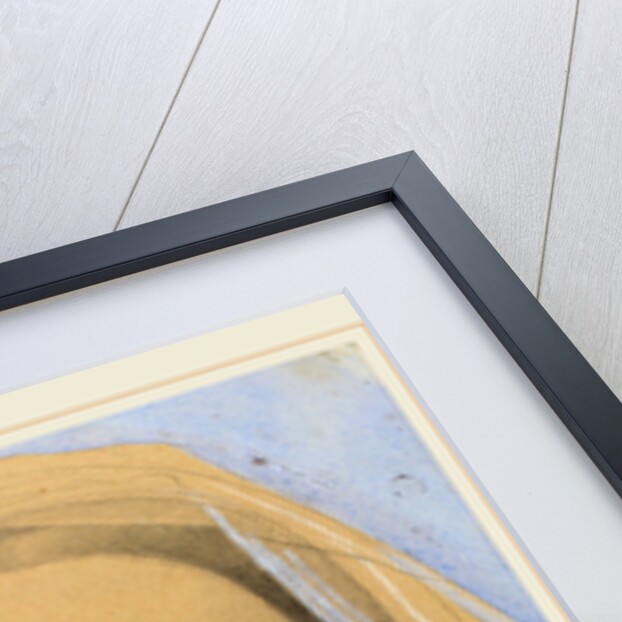 Mademoiselle Mary de Borderieux(?), 1857 by Jean-Auguste-Dominique Ingres