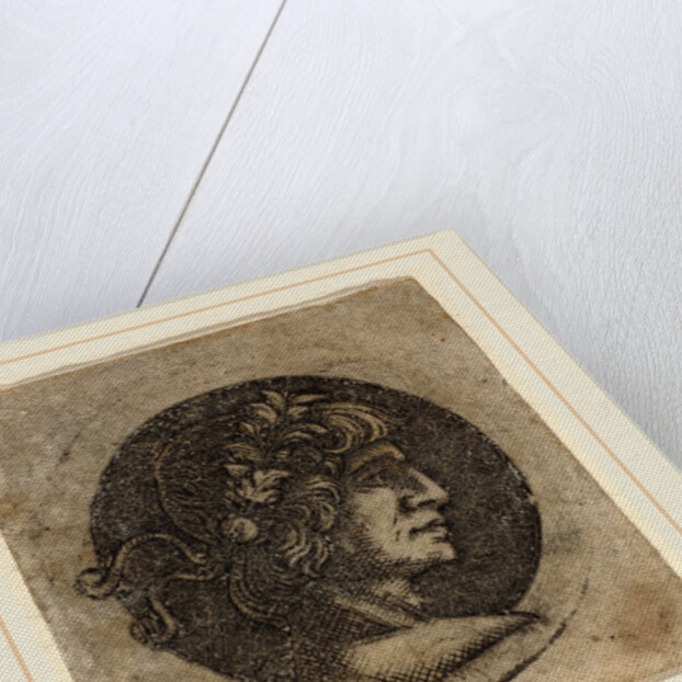 Head of a Roman Emperor by Circle of Francesco Francia