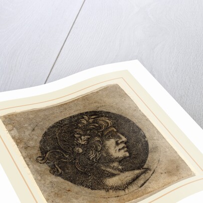 Head of a Roman Emperor by Circle of Francesco Francia