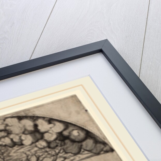 Saint Filippo Benizzi Healing a Beggar by Anonymous