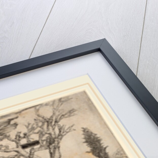 Allegory of Mother Earth by Christofano Robetta