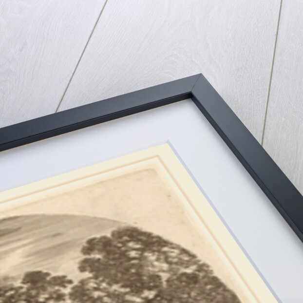 Satyrs and Faun by Stefano Della Bella