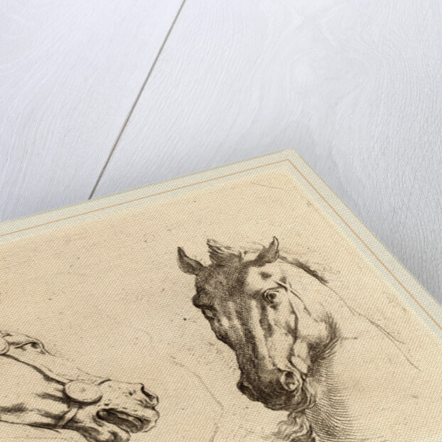 Head of a Horse Seen in Profile and in Three-Quarters by Stefano Della Bella