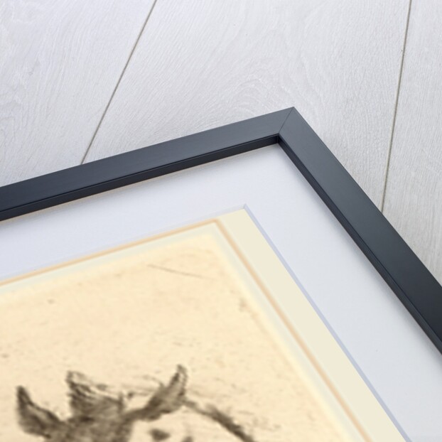 Head of a Horse Seen in Profile and in Three-Quarters by Stefano Della Bella