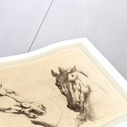 Head of a Horse Seen in Profile and in Three-Quarters by Stefano Della Bella