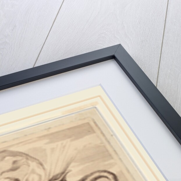 Nude Man Blowing a Conch, 1735 by Giovanni Antonio Faldoni