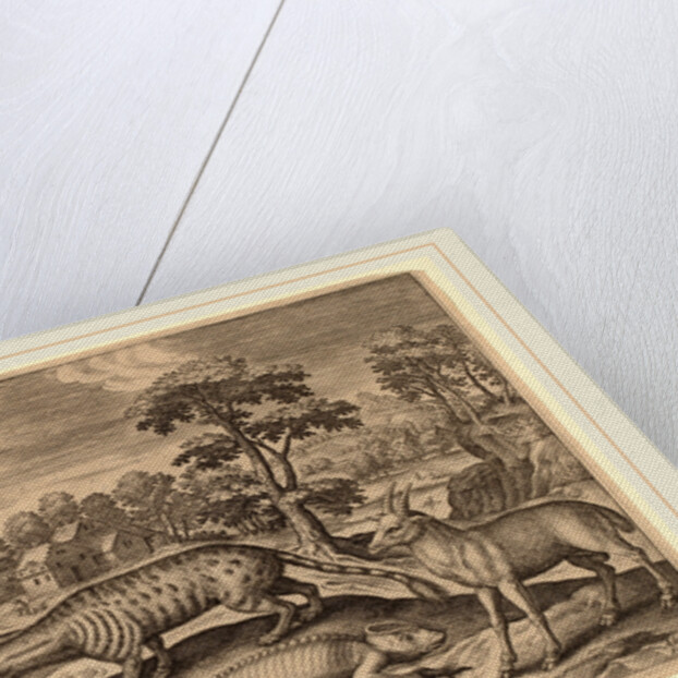 Animalium Quadrupedum by Adriaen Collaert