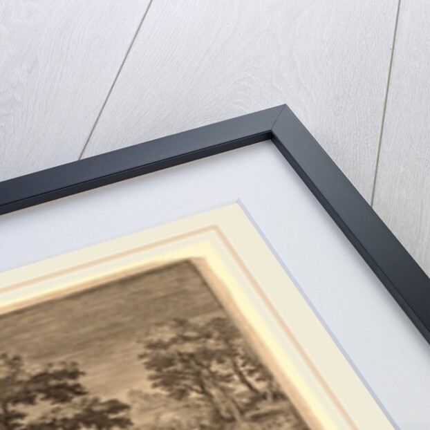 Animalium Quadrupedum by Adriaen Collaert