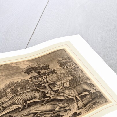 Animalium Quadrupedum by Adriaen Collaert